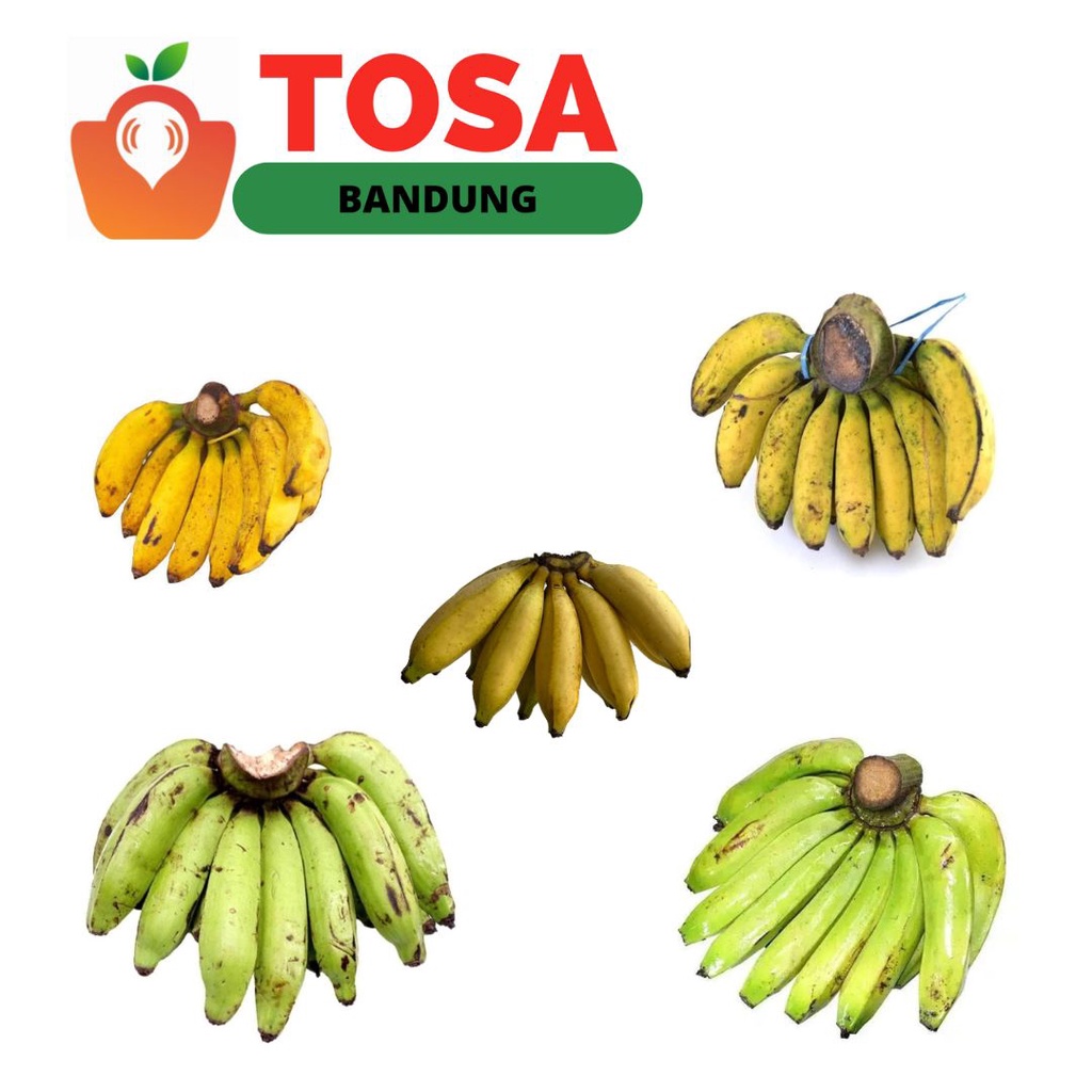 

Pisang Ambon/Pisang nangka/Pisang raja bulu/Pisang Raja sere/Pisang muli/Pisang Tanduk