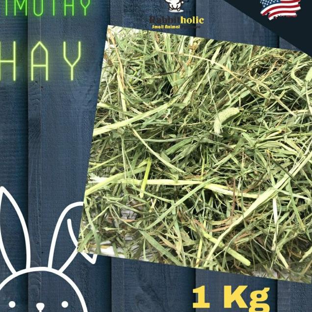 Timothy Hay import USA 1Kg rumput makanan kelinci cavy chinchilla - 1st Cut
