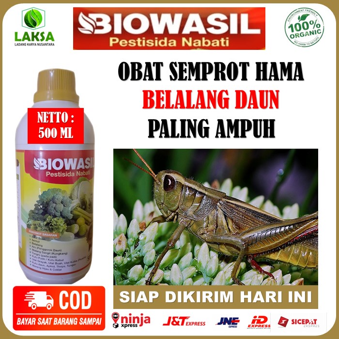 Jual Promo Murah Insektisida Pestisida Nabati Biowasil 500 Ml Obat Semprot Pembasmi Hama 8000