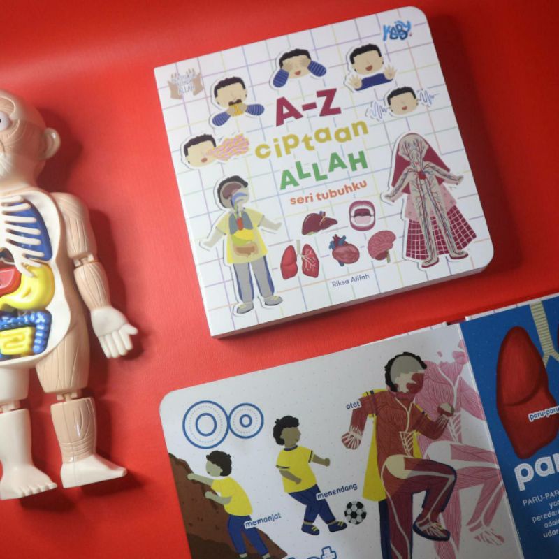 BOARDBOOK A-Z Ciptaan Allah Seri Tubuhku