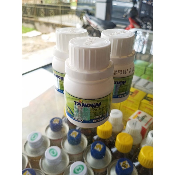 Fungisida Tandem 325 SC 50ml