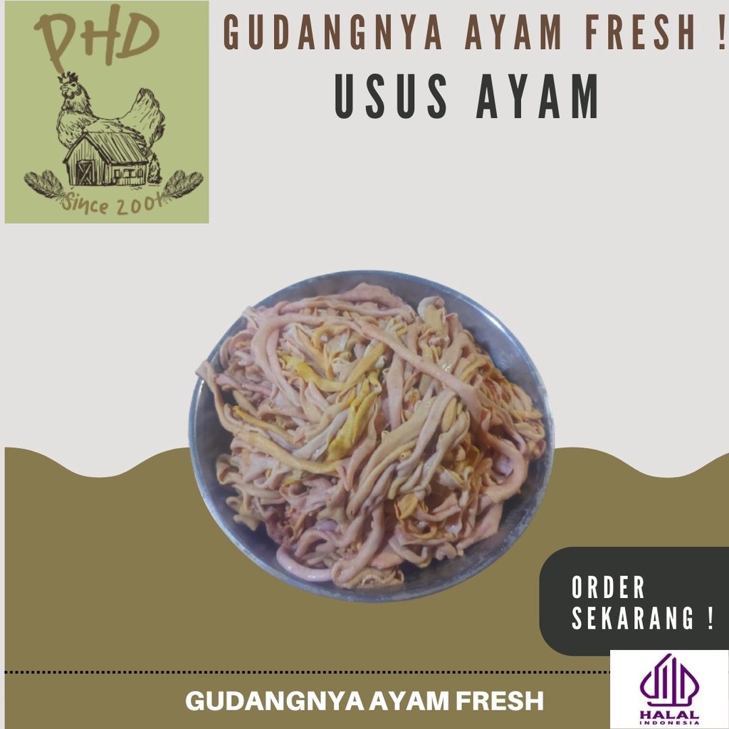 

AYAM PHD - USUS AYAM - SEGAR - BERSIH - MURAH - BERKUALITAS - FRESH 1KG