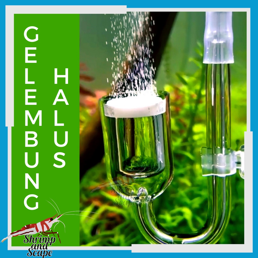 Diffuser Co2 Kaca Keramik Halus / Ceramic Glass Difuser Aquascape + dop