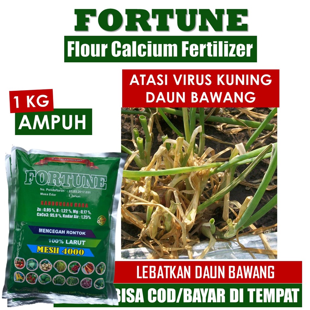 (LANGSUNG KIRIM) FORTUNE Pupuk Kalsium Anti Hama Virus Kuning/Gemini Bawang, Pupuk Organik Hama Viru