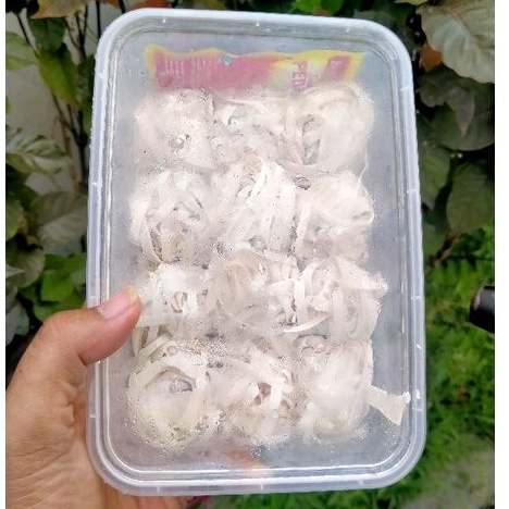 

Frozen Udang Rambutan isi 12 MURAH