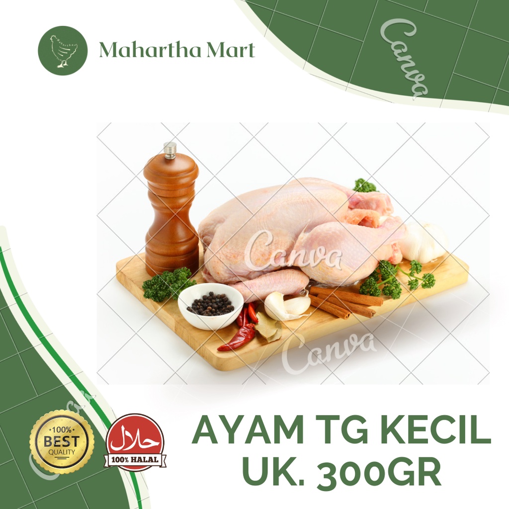 Ayam Broiler Utuh Kecil Ukuran 300 Gr Bandung / Daging Ayam Tege / Ayam Utuh Segar / Ayam Karkas 300