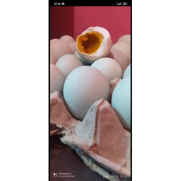 

telor asin produksi sendiri