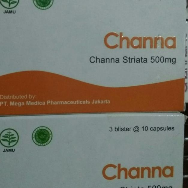 channa striata 500mg ekstrak ikan gabus