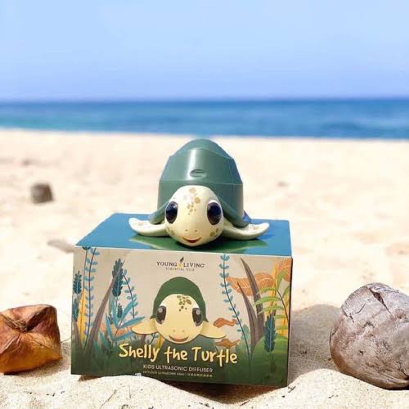 shelly the turtle diffuser