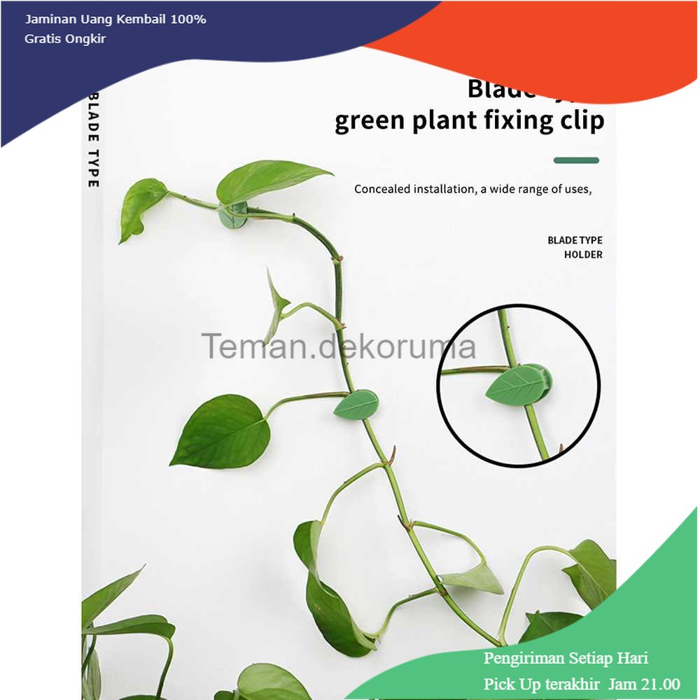 TD-PR2 ZITONG Klip Batang Tanaman Invisible Plan Vine Fixture 60 PCS - GL8