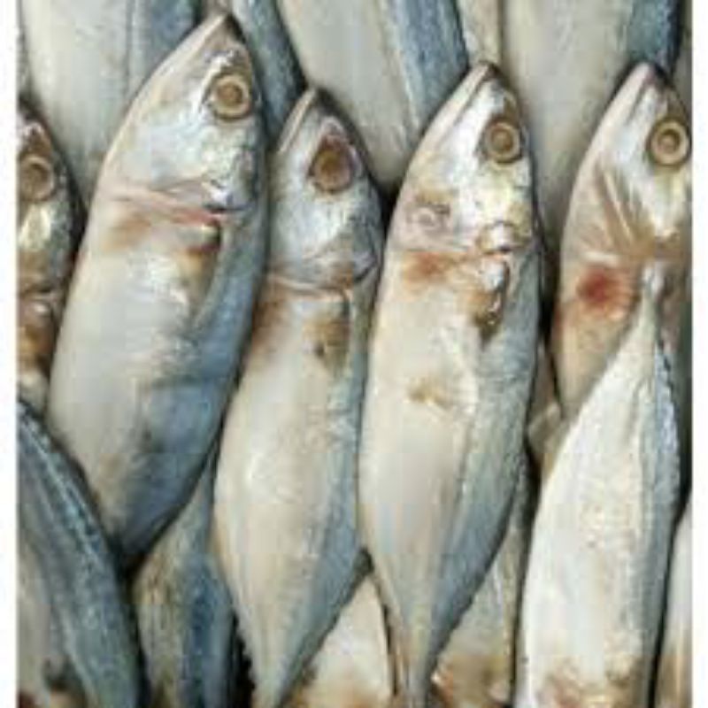 

IKAN ASIN PEDA MERAH/PUTIH 1000gr