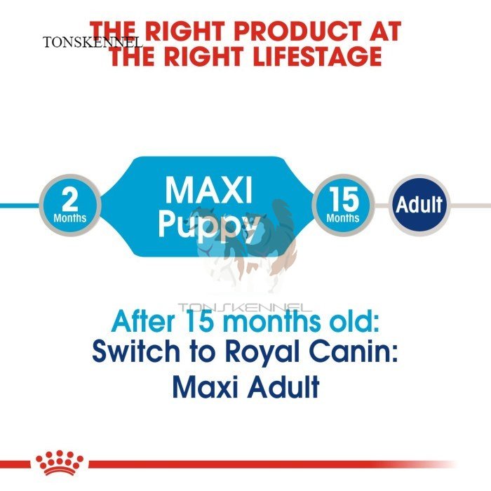 Royal Canin Maxi Puppy Makanan Anak Anjing Wet Pouch 140gr rc