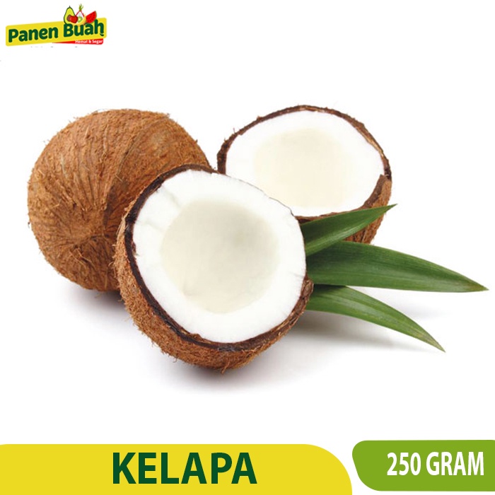 

Kelapa (Per Buah 250gr)