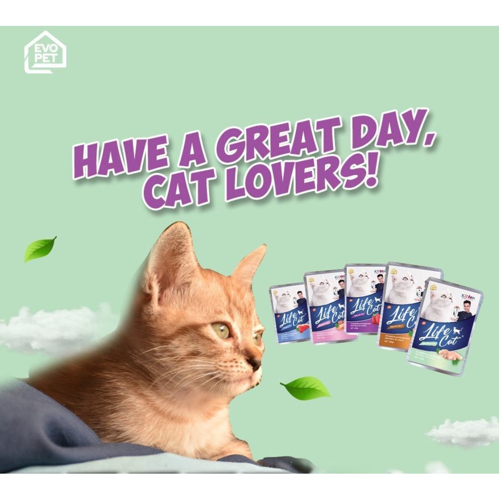 Life Cat Sachet 85gr Makanan Kucing Basah Wet Food