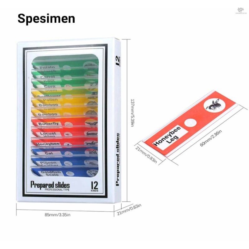 Specimen Slide Microscope
