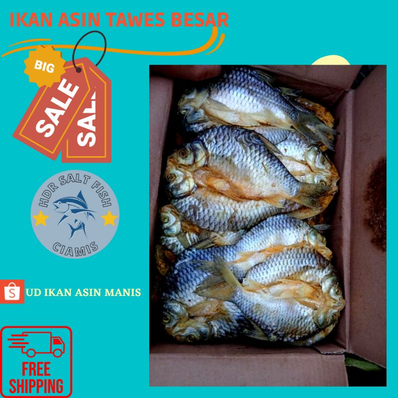 

ikan asin tawes besar /jumbo termurah