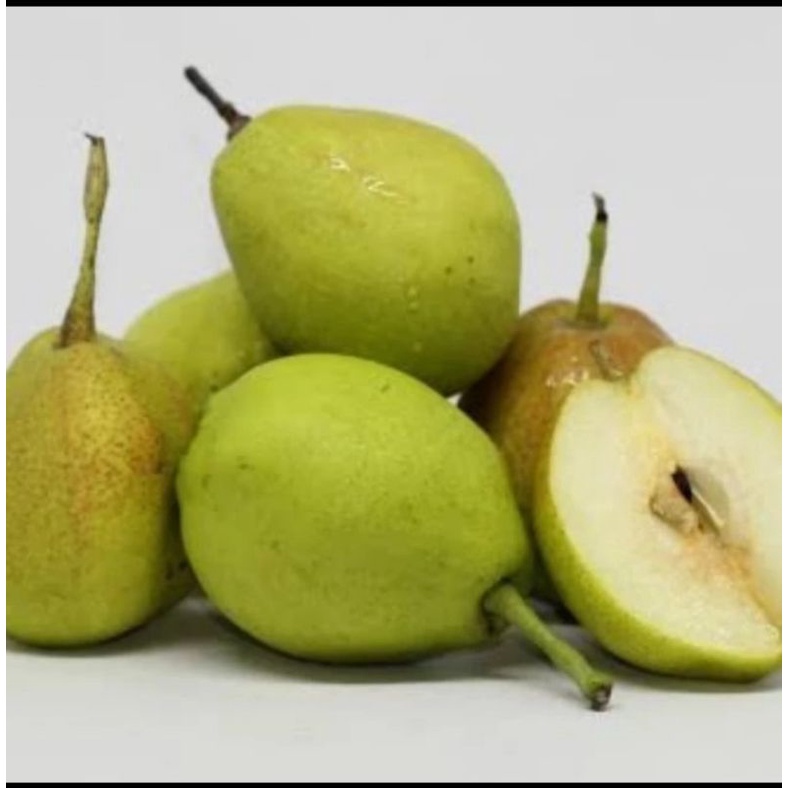 

Buah Pir Xia Li Hijau madu manis segar garing per 500 gram