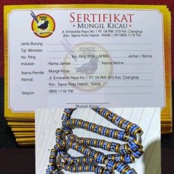 Sertifikat murai batu bisa custom harga 50lembar. produk bukan dari BNR atau juga APBN.  cuma sertif