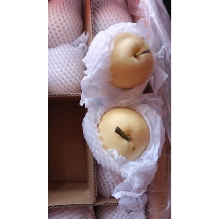 

pear century
