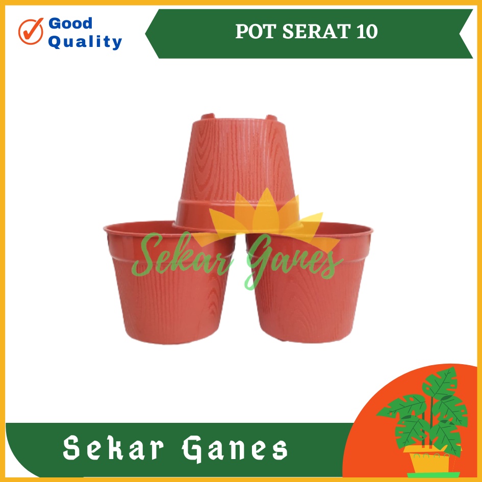 Pot Bunga 10 Cm Merah Bata Coklat Bata Pot Tanam Hias Ukuran Mirip Pot Tawon 10CM Pot 10cm Hidroponik Warna Murah