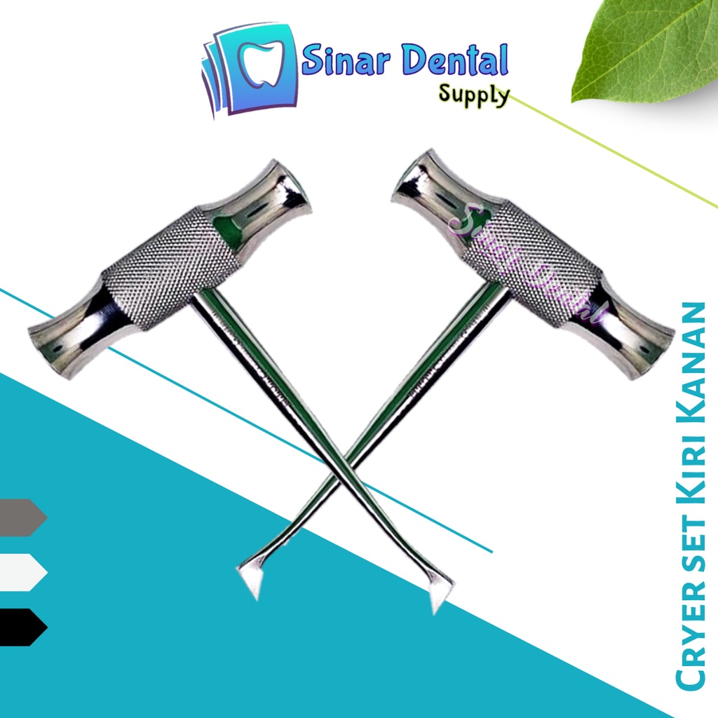 dental cryer set kanan kiri root elevator winter