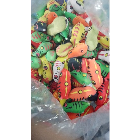 Cangkang Soft Frog (pentingnya membaca)