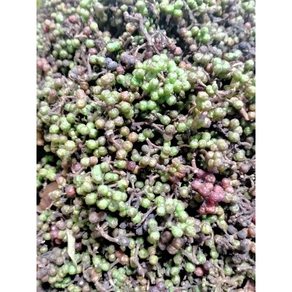 

andaliman ( raya/parsoburan) 100g..