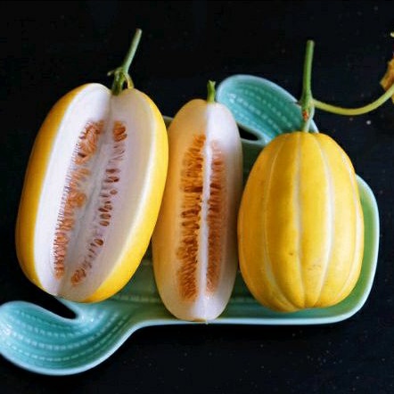 Benih/bibit melon chamoe/ Melon korea f2