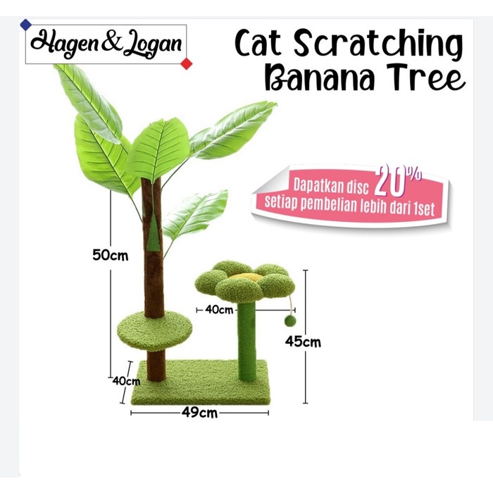 Cat Scratching Banana Tree / Garukan Kucing Pohon Pisang