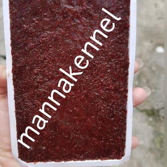 cacing darah beku/frozen bloodworm/cabek/cacing beku tray kiloan 1kg