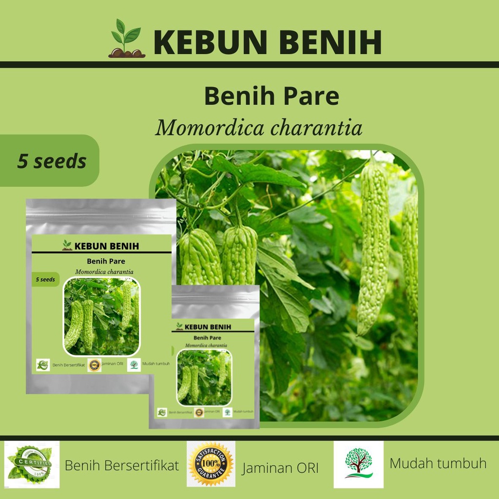 5 Benih Sayur Pare OPAL F1 Kualitas Unggul