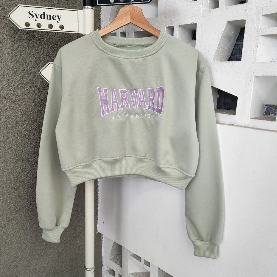 Sweater Croope Harvard Bordier Wanita Fleece Kpop Style