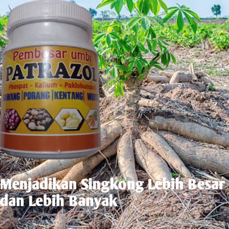 Pupuk Singkong Bagus dan Terbaik. Pupuk Singkong PATRAZOL 450gr