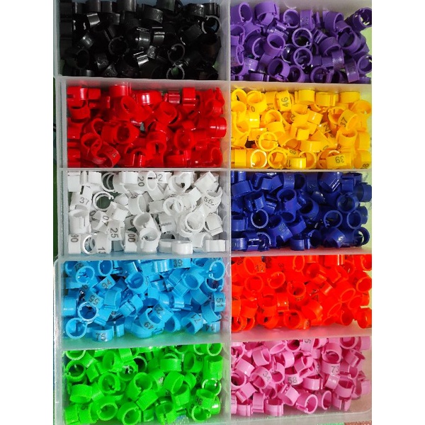 10 butir RING MERPATI KLIP NOMOR merpati dewasa