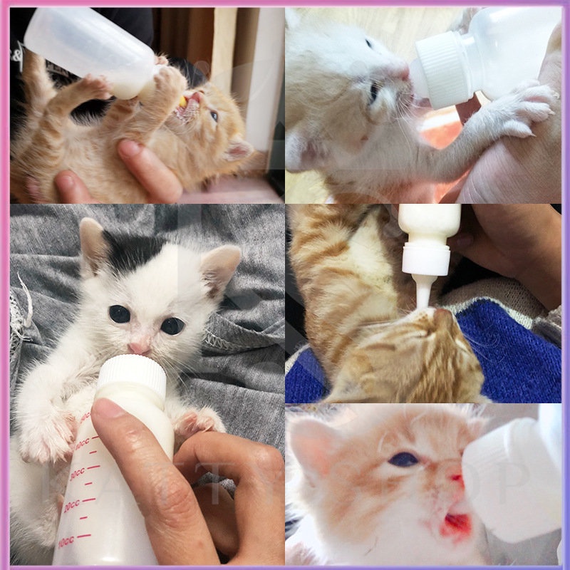 Cat and dog feeding bottle 60ML pet water and drink equipment