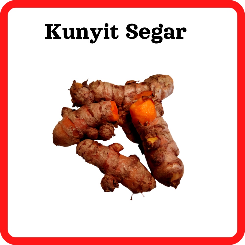 

Kunyit Kunir Segar Fresh Super Murah Alami Tua 1 kg 500 Gram