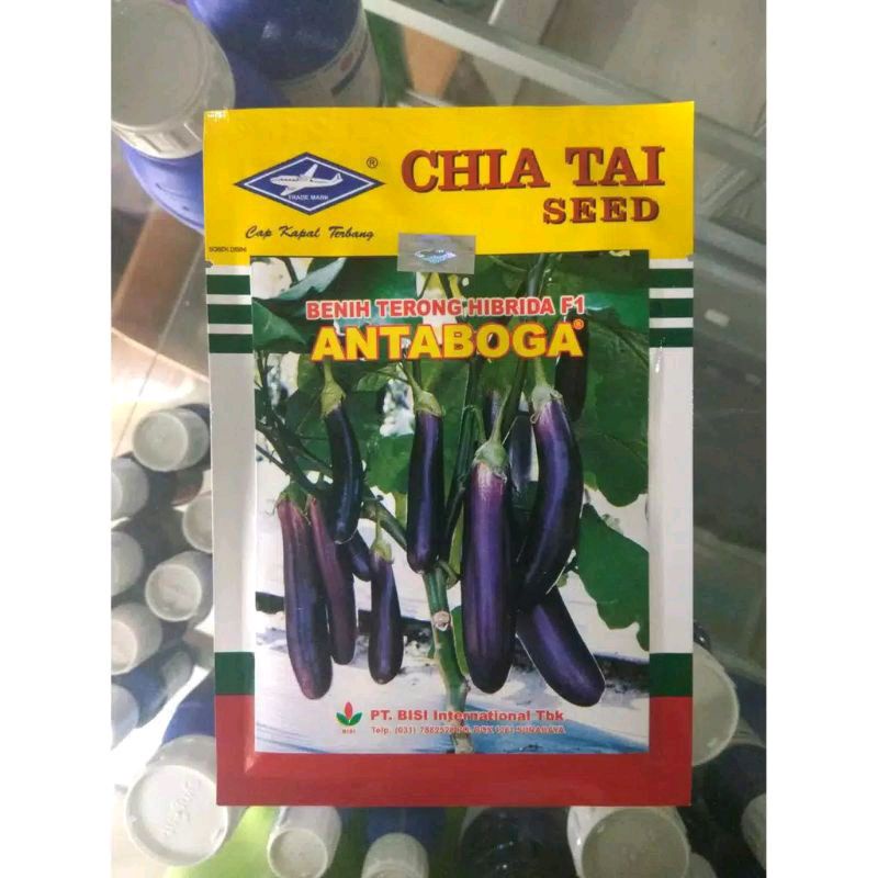 BENIH TERONG UNGU ANTABOGA 10 GR BISI CAP KAPAL TERBANG