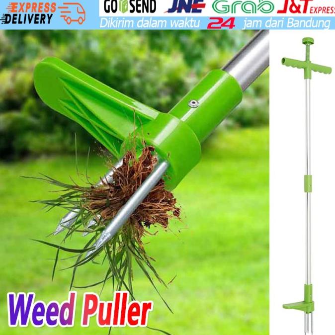 Alat Rumput Manual Alat Pencabut Akar Rumput Liar For Alat Penyiangan