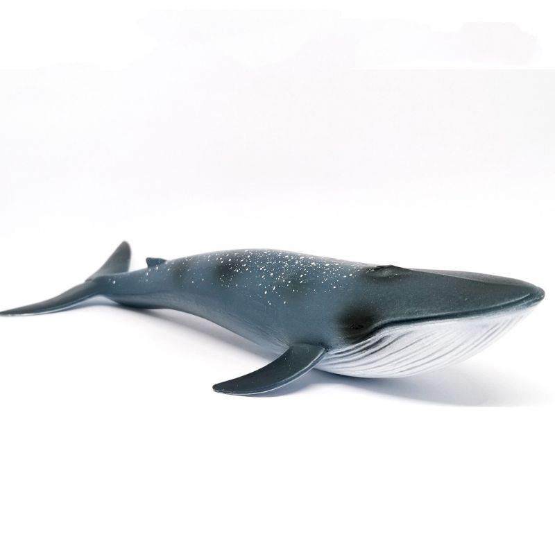 mainan ikan paus blue whale
