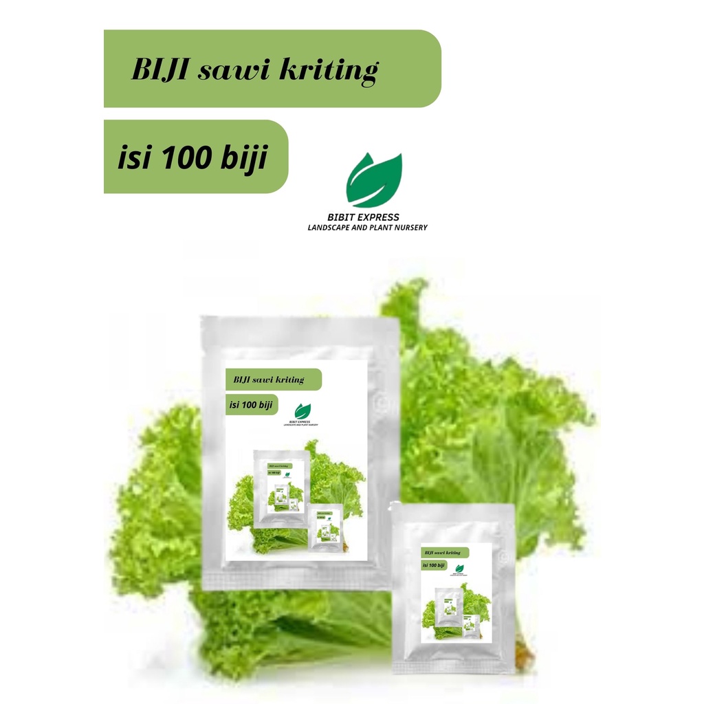 Biji sayuran sawi kriting/Biji sawi kriting
