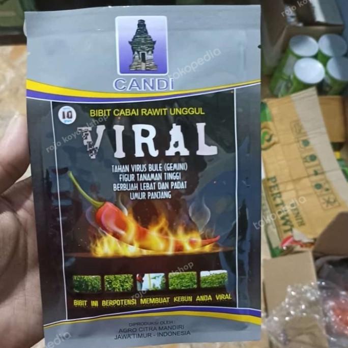 bibit cabe viral 10gr