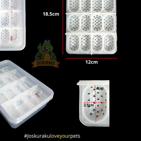 Inkubator Reptil Telur Incubator Egg Gecko Ular Kura Kadal Reptile Egg - Incubator saja