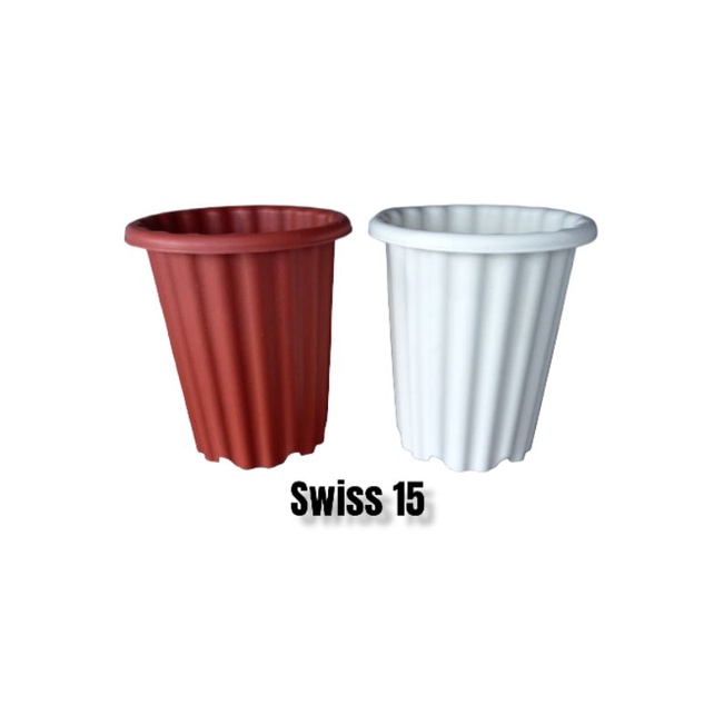 Pot Aglonema Pot Swiss Ukuran 15