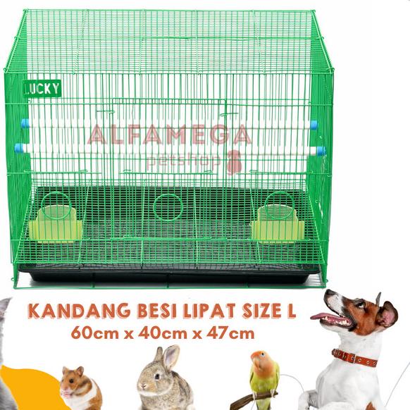 KANDANG UMBARAN BESI LIPAT SIZE L 60x50x44 BURUNG PLECI LOVEBIRD LUCKY