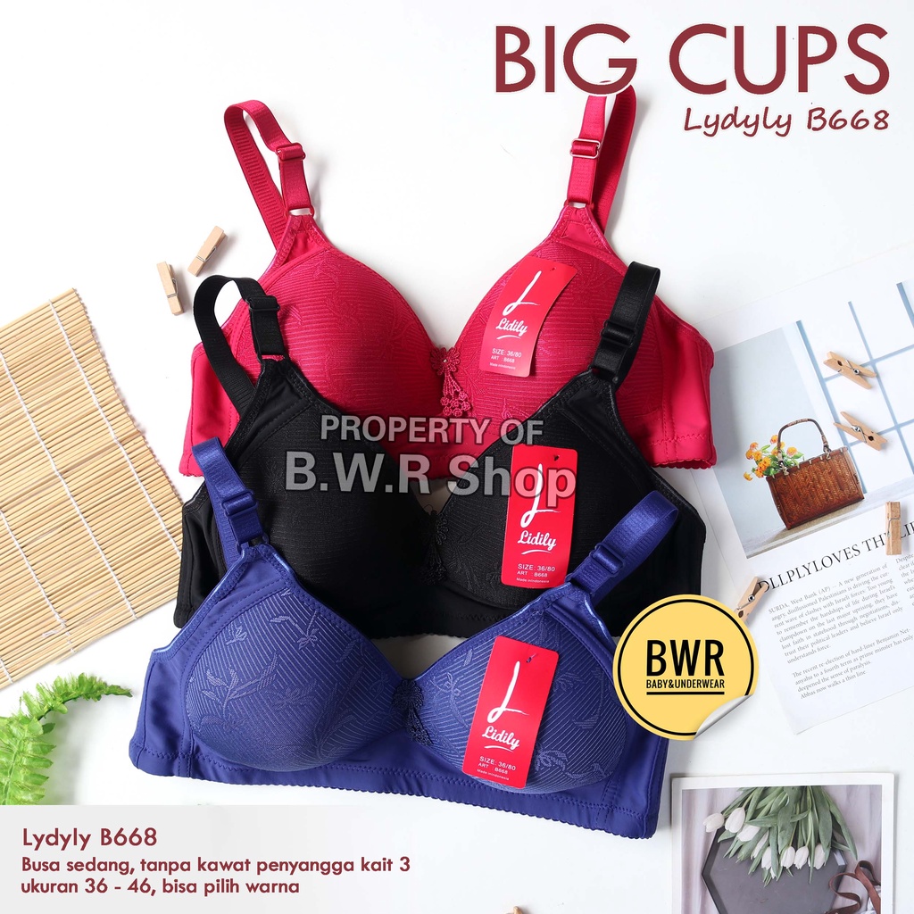 BH Lydyly B668 BIG CUPS / Lydyly Bra Wanita Wanita Dewasa Busa Sedang ( Cup C ) Tanpa Kawat Kancing 3 PILIH WARNA | Bwr