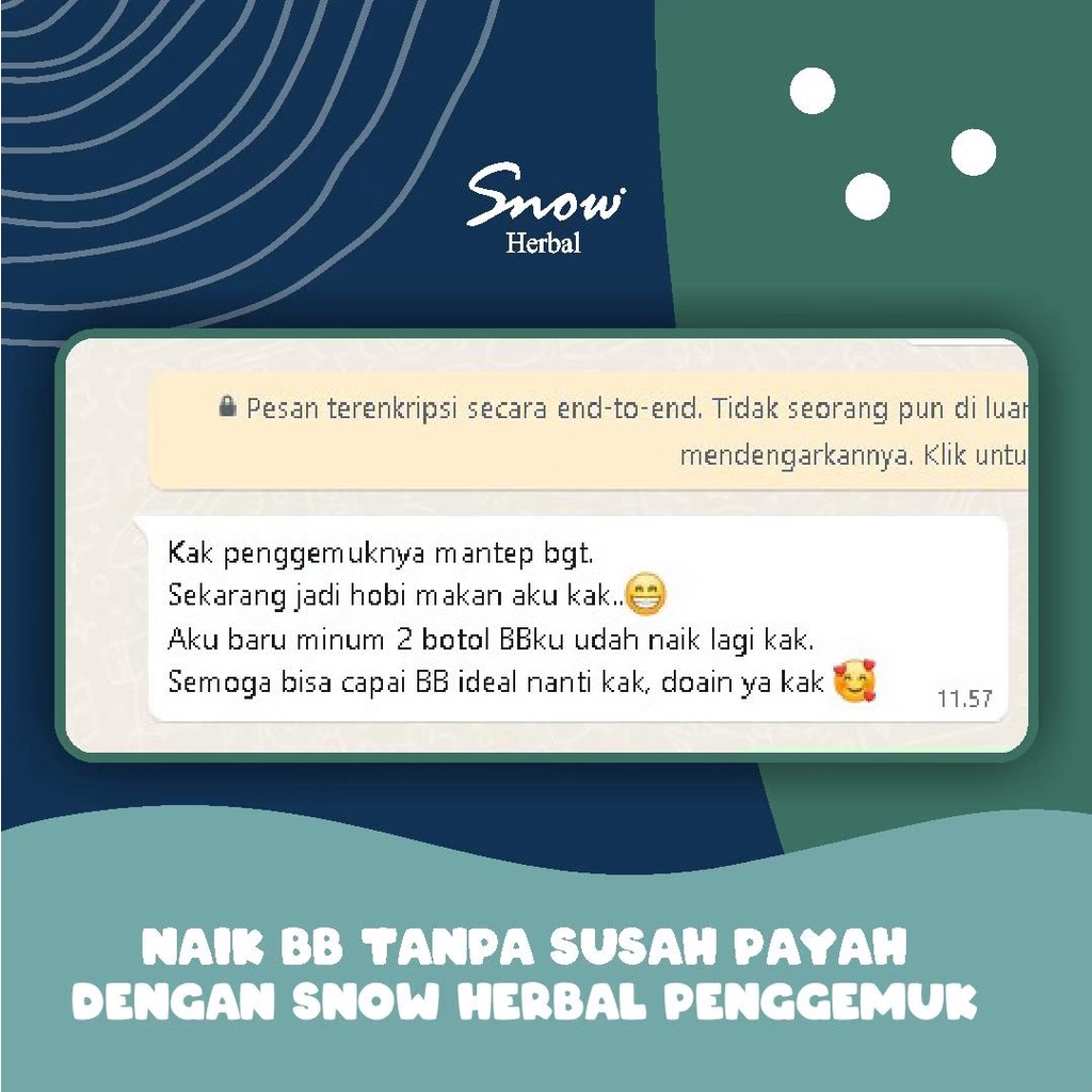 Snow Herbal Penggemuk Badan Alami