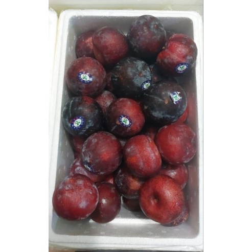 [TERMURAH] BUAH PLUM SEGAR 1 KG