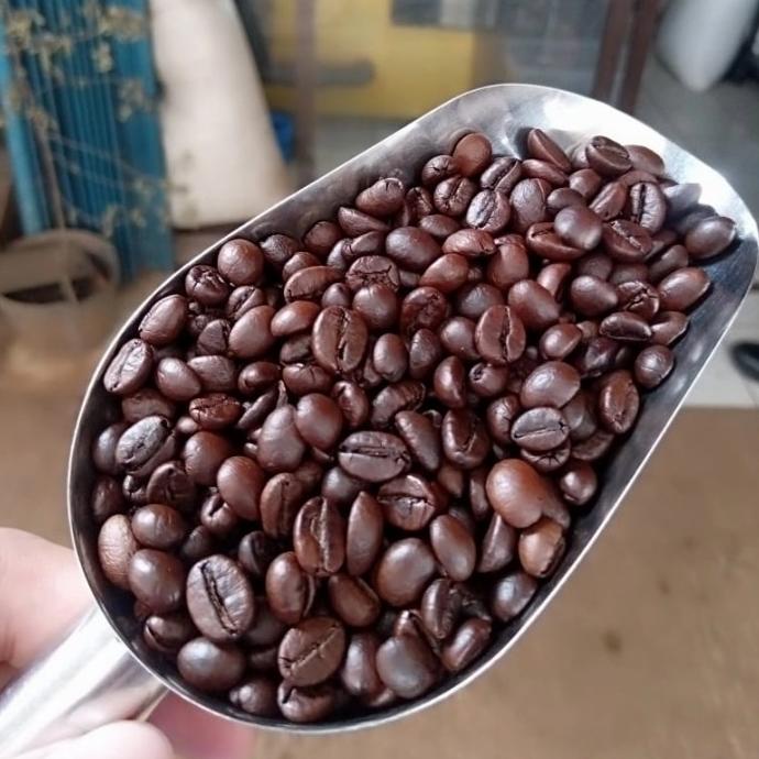 

BISA COD Kopi Robusta Aceh Gayo 1 Kg /KOPI RUBE/KOPI KAPAL API/KOPI SLB/KOPI BUBUK/KOPI GOOD DAY
