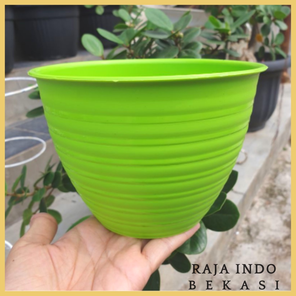 TERMURAH MDN TAWON 15 (15cm) pot bunga model tawon putih dan warna warni GROSIR