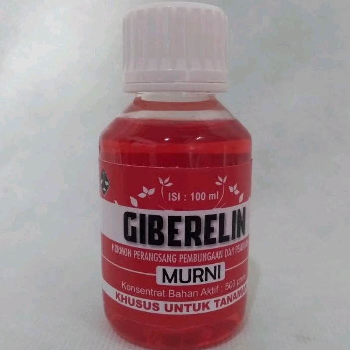 GIBERELIN MURNI 100ml